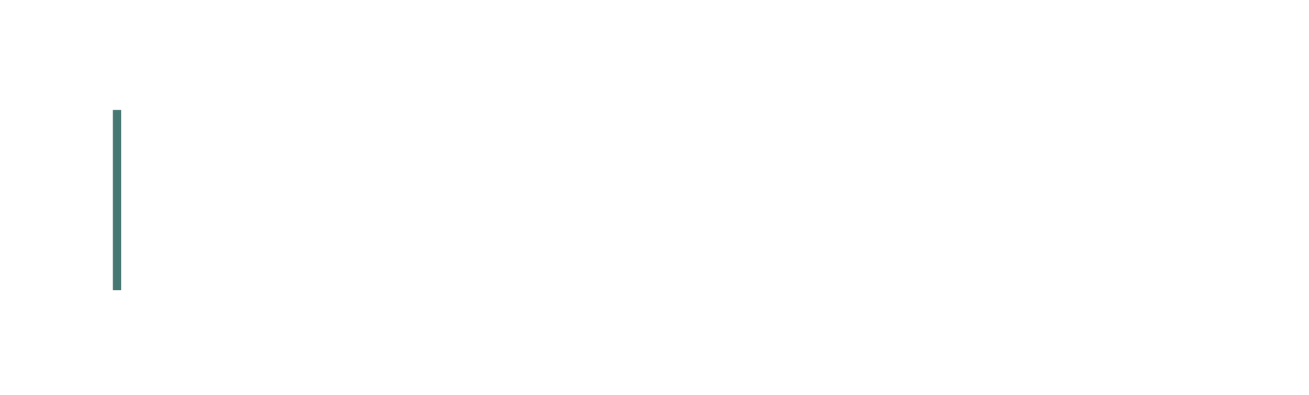 Social Media Strategie & Content Creation I Julia Schandl